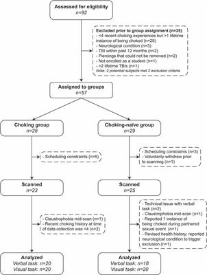 Frequent and Recent Non-fatal Strangulation/Choking During Sex and Its Association With fMRI Activation During Working Memory Tasks